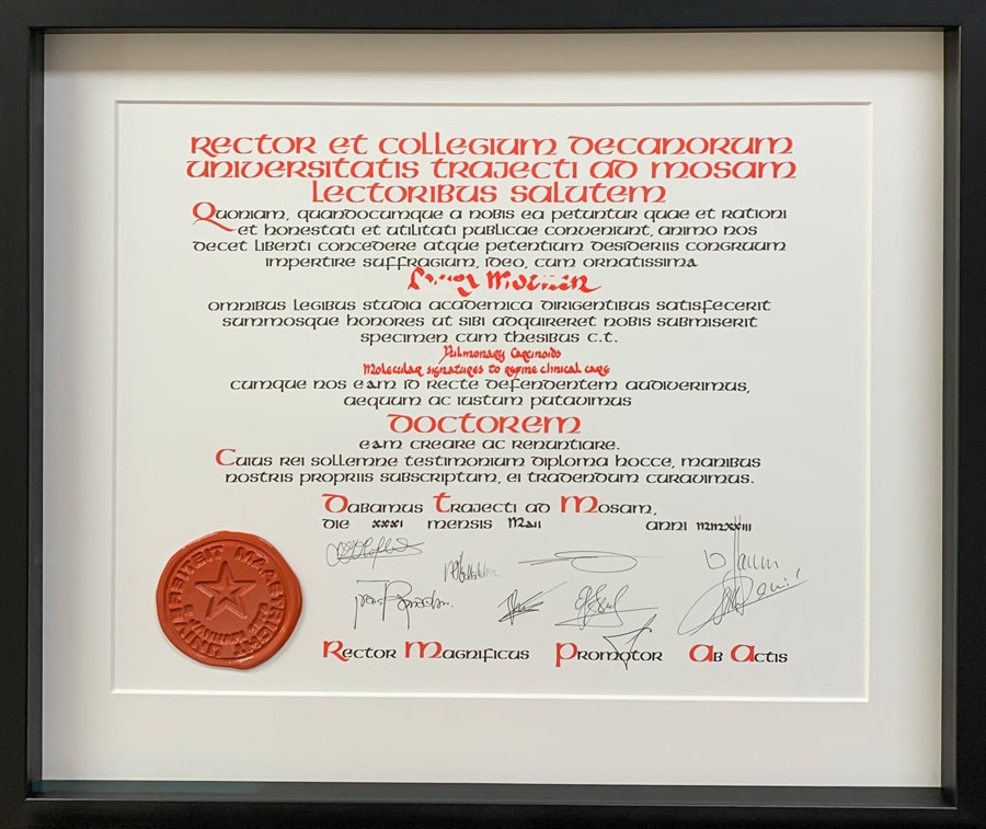 diploma ingelijst Atelier pantazi